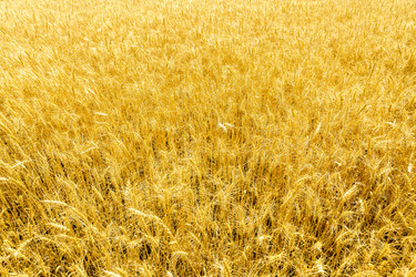 Similar image 21038750