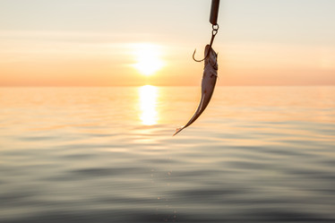 Similar image 21038512