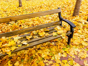 Similar image 21038516