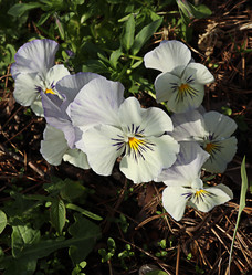 Similar image 21038520