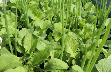 Similar image 21038521