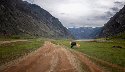 Similar image 21045385