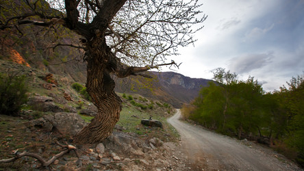 Similar image 21045388