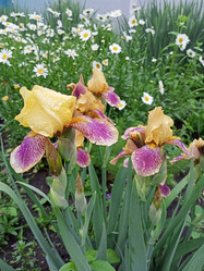 Similar image 21045893