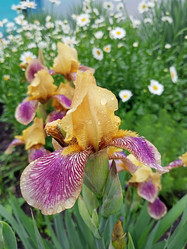 Similar image 21045894