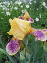 Similar image 21045228