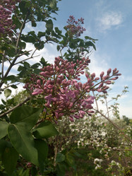 Similar image 21048016