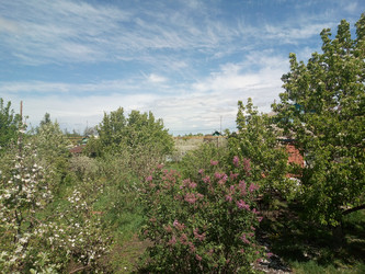 Similar image 21048017