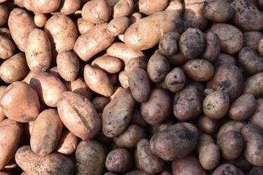 Similar image 21038809