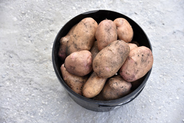 Similar image 21038810