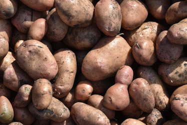 Similar image 21038811