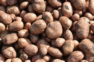 Similar image 21038812