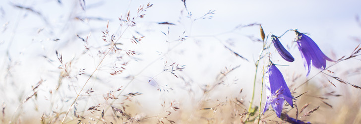 Similar image 21045627