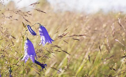 Similar image 21045628