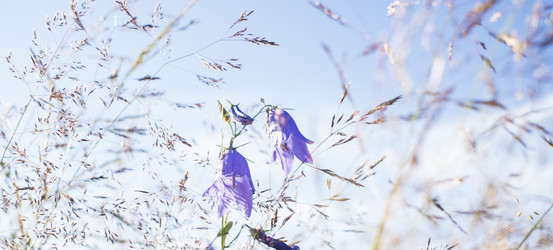 Similar image 21045629