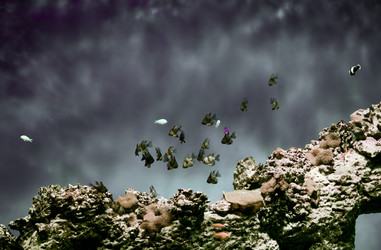 Similar image 21046069