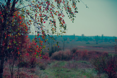 Similar image 21045879