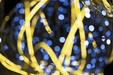 Similar image 21046034