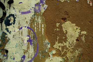 Similar image 21065628