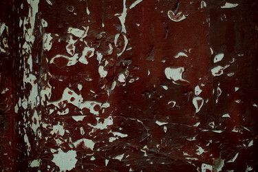 Similar image 21061478