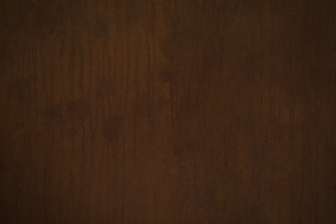 Similar image 21063956