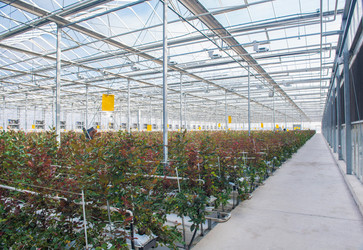 Similar image 21046273