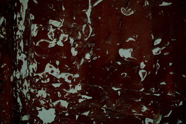 Similar image 21064153