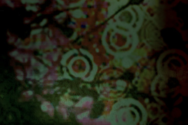 Similar image 21068741