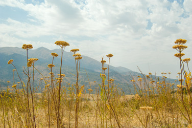 Similar image 21046438