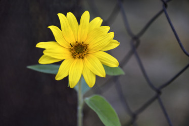 Similar image 21038782