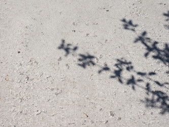 Similar image 21039784