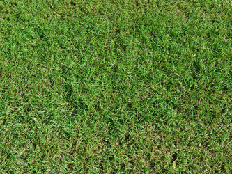 Similar image 21039798