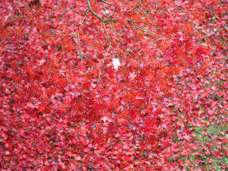 Similar image 21039804