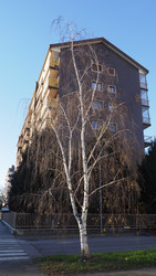 Similar image 21039805