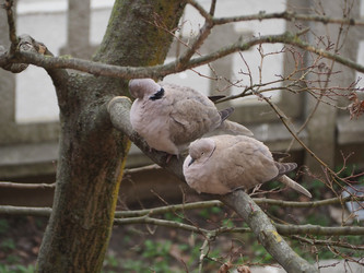 Similar image 21040059