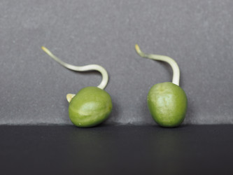 Similar image 21039846