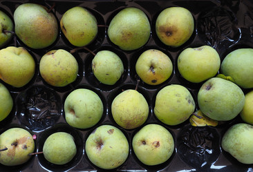 Similar image 21039878