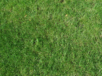 Similar image 21055209