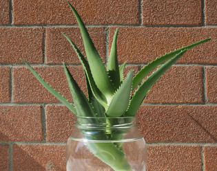 Similar image 21055213