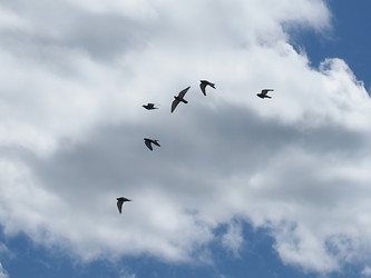 Similar image 21054942