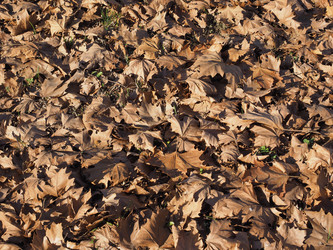 Similar image 21054955