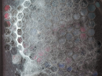 Similar image 21055245