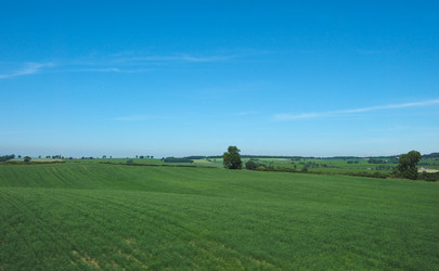 Similar image 21055775