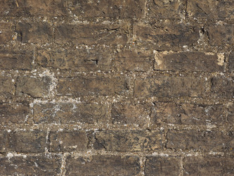 Similar image 21055291