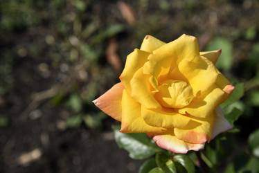 Similar image 21038828