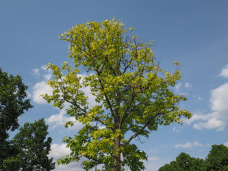 Similar image 21054992