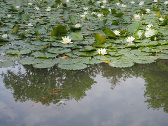 Similar image 21055019