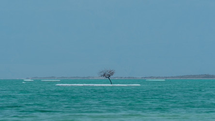 Similar image 21064099