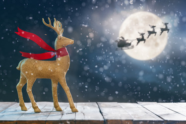 Similar image 21037974