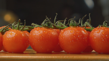 Similar image 21038262